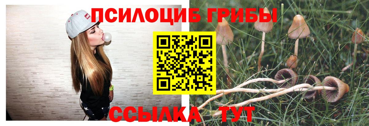 Псилоцибиновые грибы ЛСД  Вход с VPN  Псилоцибиновые грибы Psilocybine cubensis  Малоярославец 
